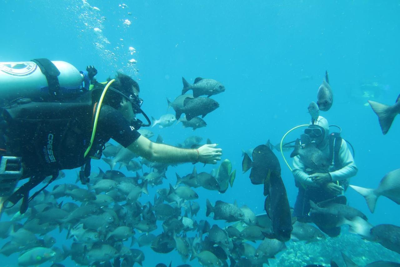 Tabari Dive Lodge Pulau Mansuar Eksteriør bilde