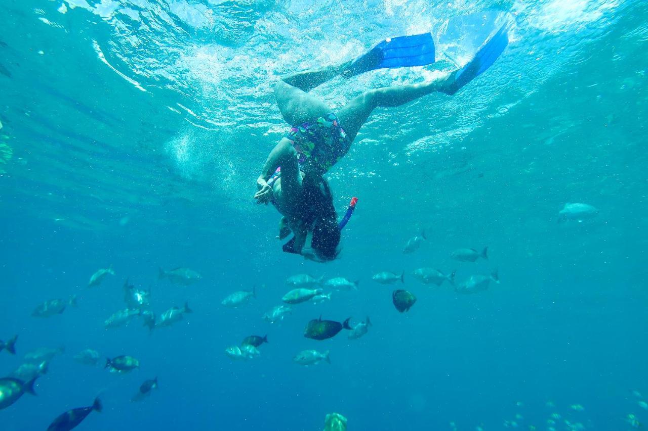 Tabari Dive Lodge Pulau Mansuar Eksteriør bilde